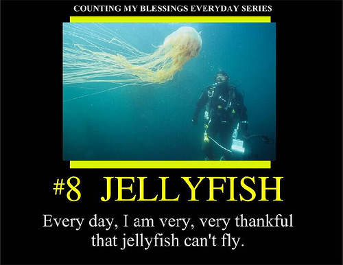 jellyfish