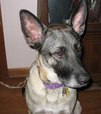 clarapretty7_24compressed