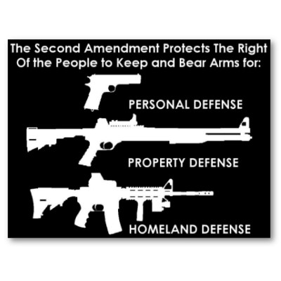 the_second_amendment_protects_poster
