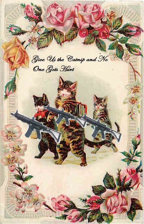 cat commandos