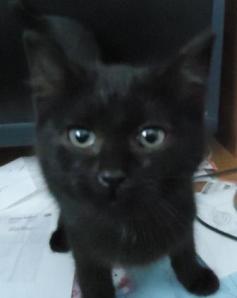 ???????????????????????????????