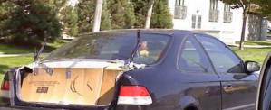 cardboard decklid