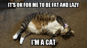wpid-fat-and-lazy.png.png