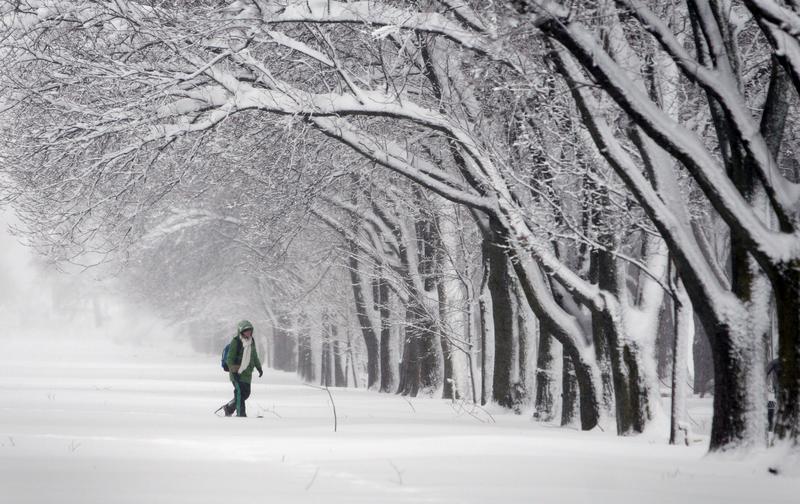 winter misery
