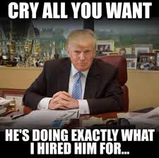 trump no crybabies